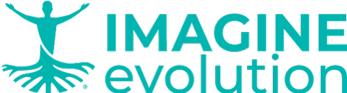 IMAGINE EVOLUTION